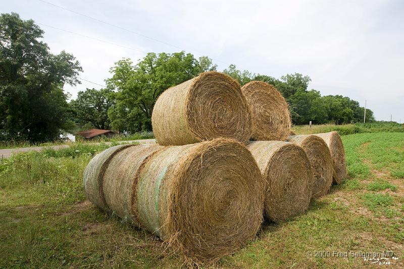 20080718_115501 D3 P 4200x2800.jpg - Bales of Hay